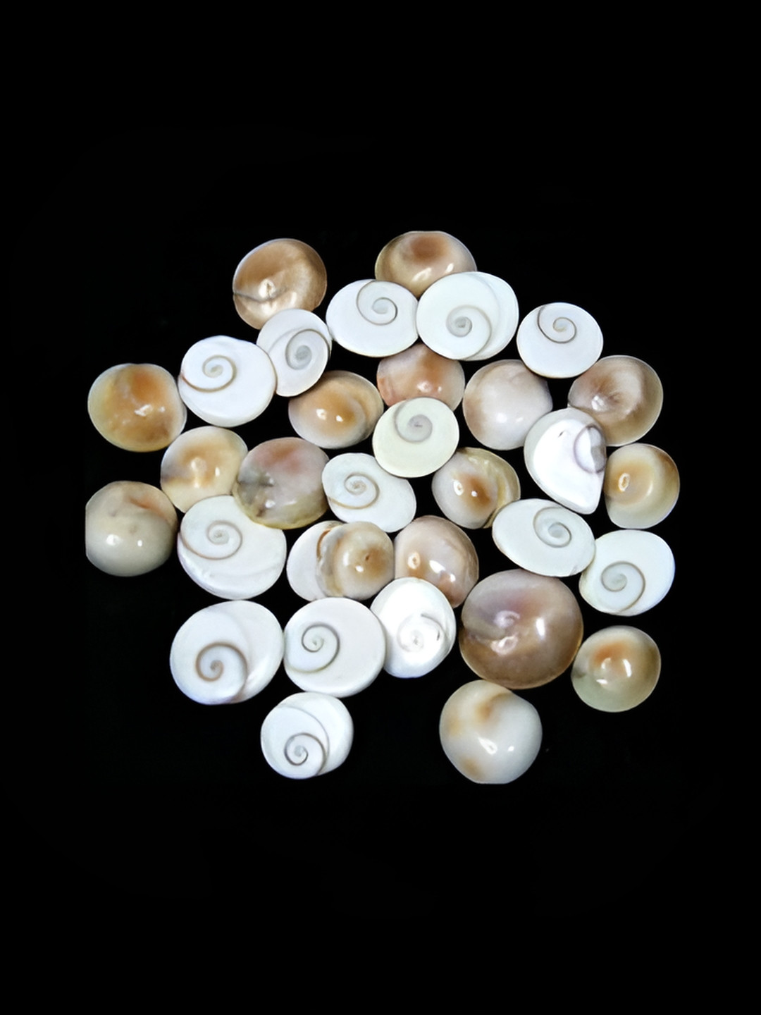 Navyaksh Gomti Chakra White Metal Metallic Living Room 21 Piece Small Showpieces - 0.2 Inches