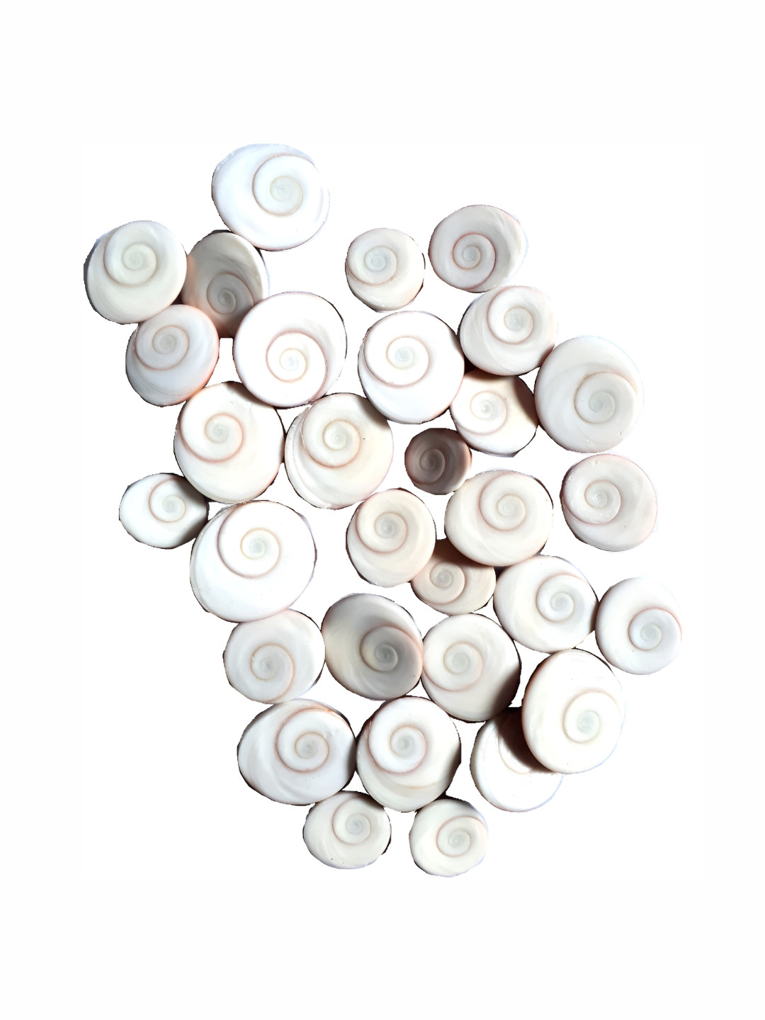 Navyaksh Gomti Chakraa White Metal Metallic Living Room 108 Piece Small Showpieces - 1.6 Inches