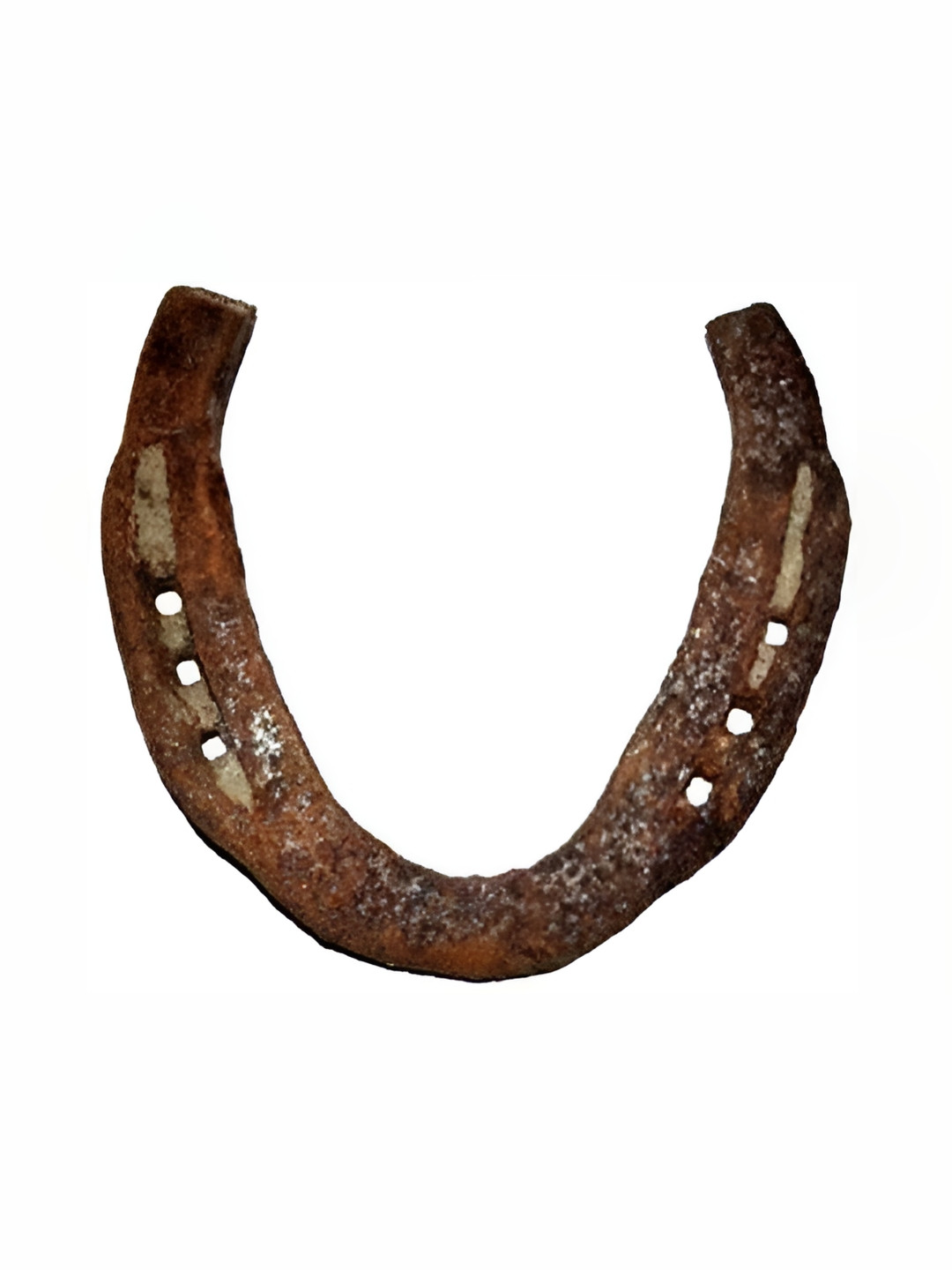 Navyaksh Ghode Ki Naal Brown Metal Metallic Prayer Room Small Showpiece - 3.9 Inches