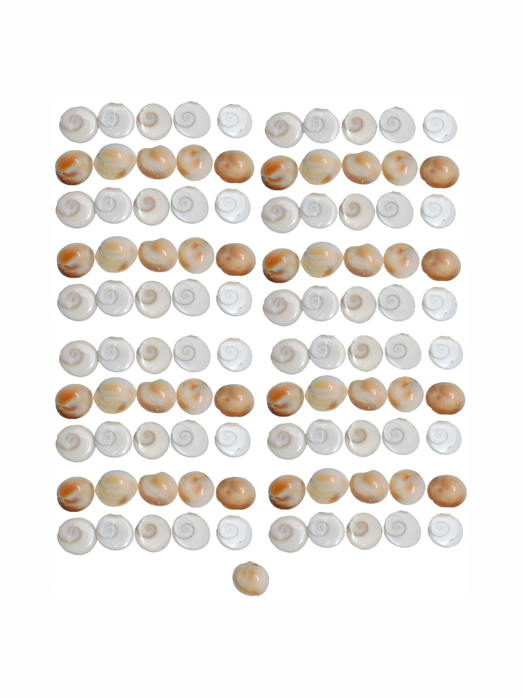 Navyaksh Gomti Chakra Brown Metal Metallic Prayer Room 101 Piece Small Showpieces - 0.2 Inches