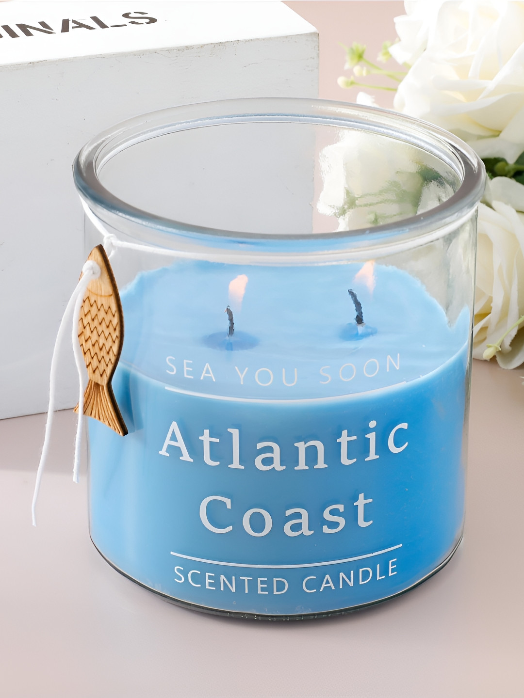 The Better Home Blue Water Scented 2 Wick Solid Geometric Regular Jar Candles