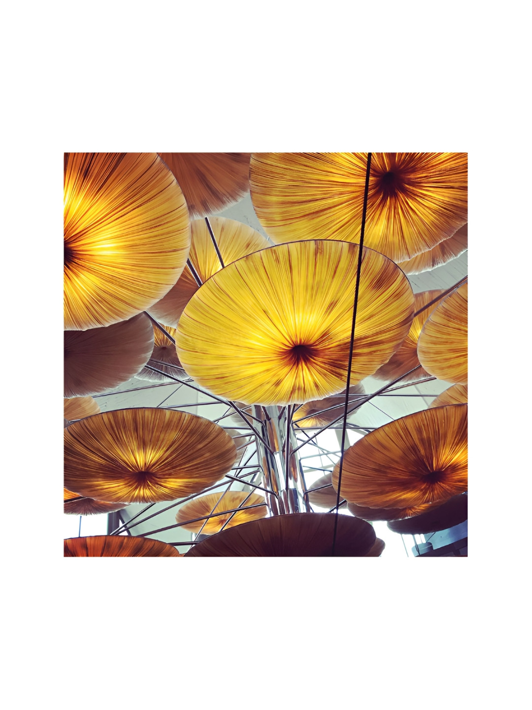 OLIVE TREE Orange & White Abstract Canvas Painting Wall art