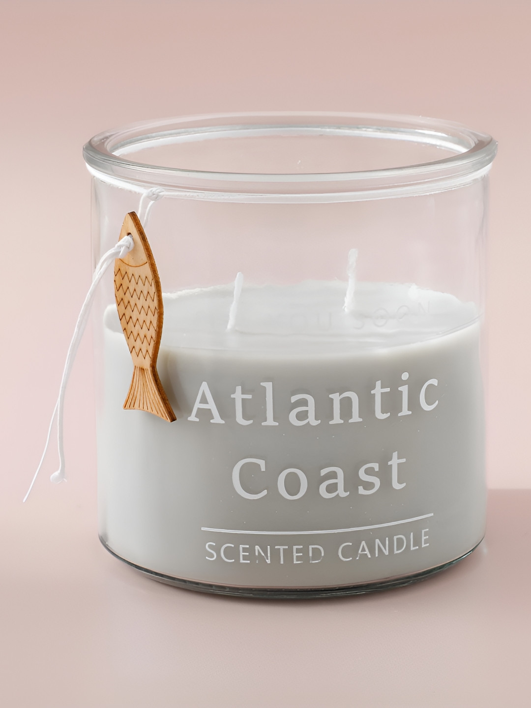 The Better Home for Home Decoration 2 Wick Sea Anemone and Algae Solid Jar Candles