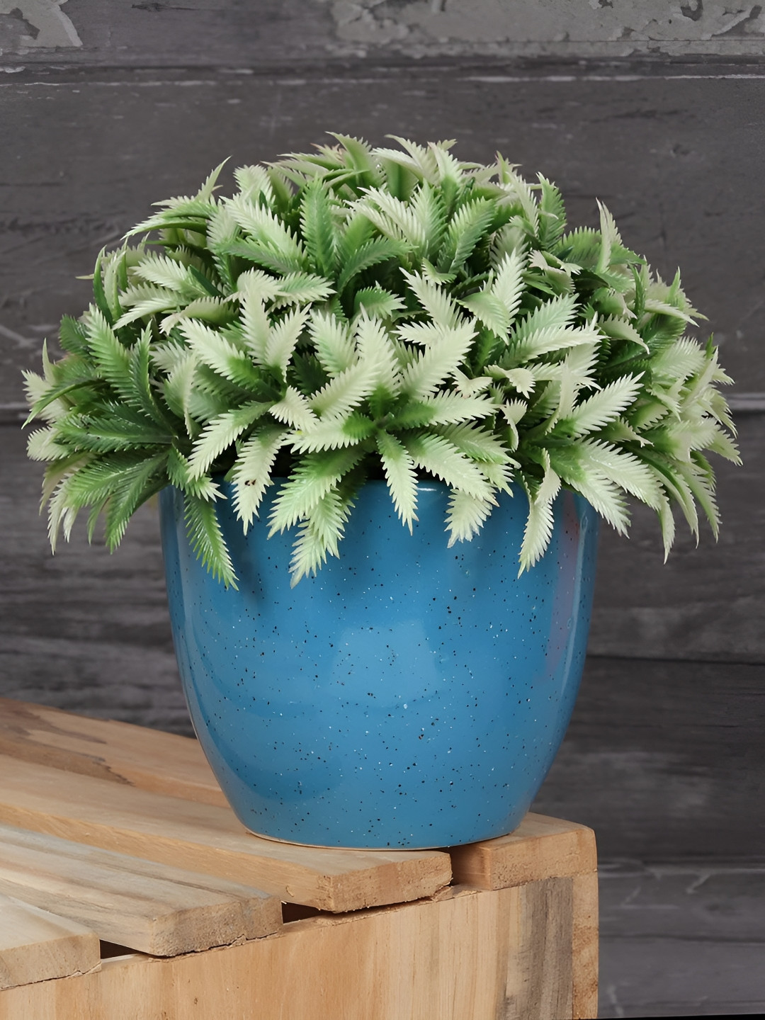 Crazy Sutra Blue Big Cup Shaped Ceramic Planter