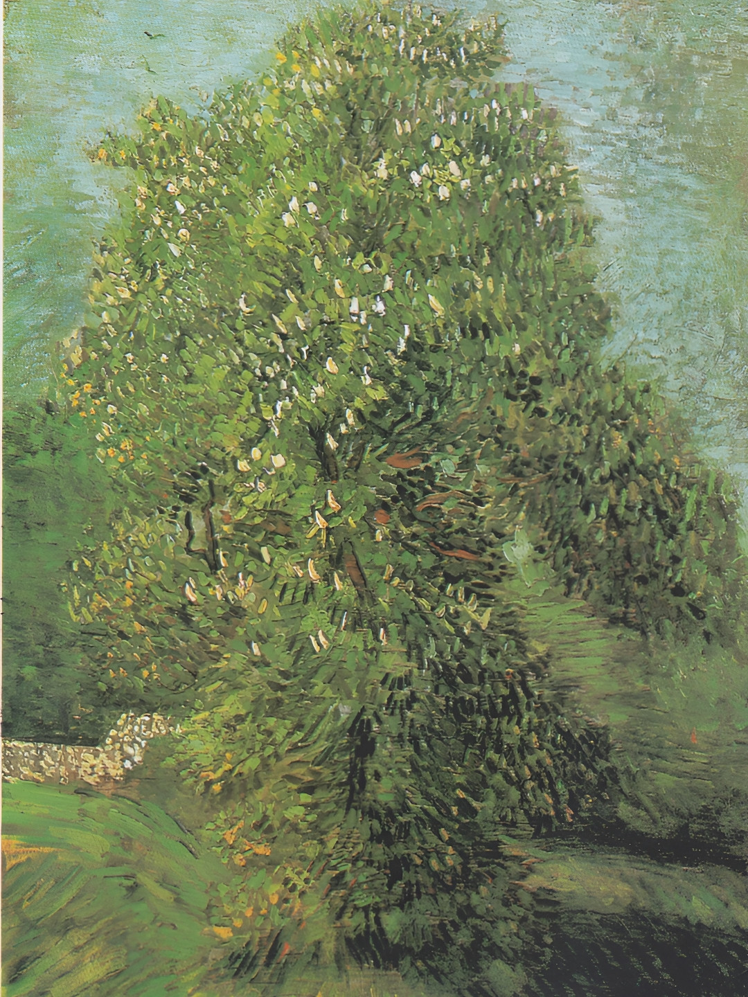 Adventures India Horse Wood Wall Living Room Rectangle Paintings Wall Art -23.62 x 17.72In