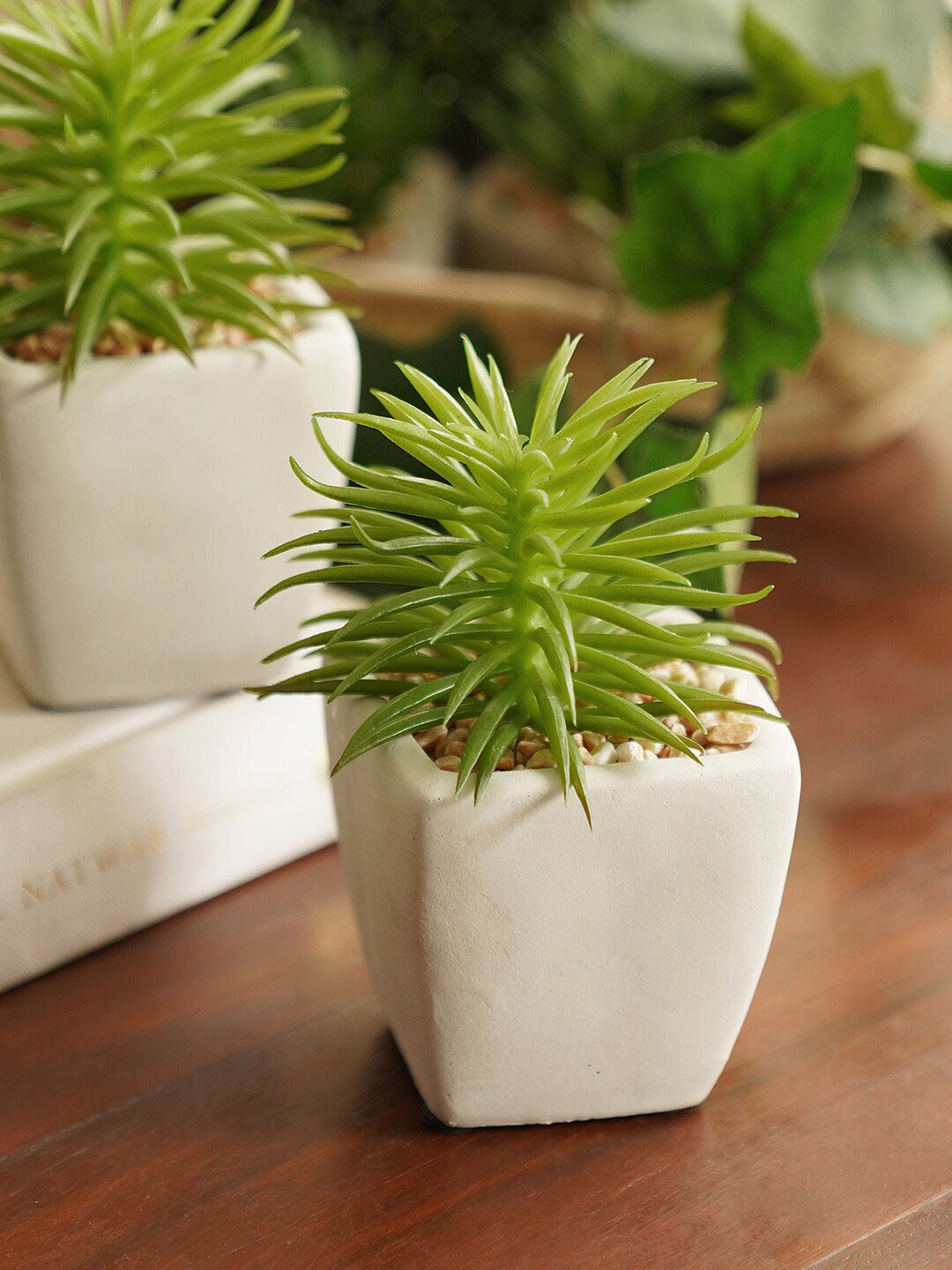 Pure Home and Living Green & White Cactus Succulent Artificial Flower