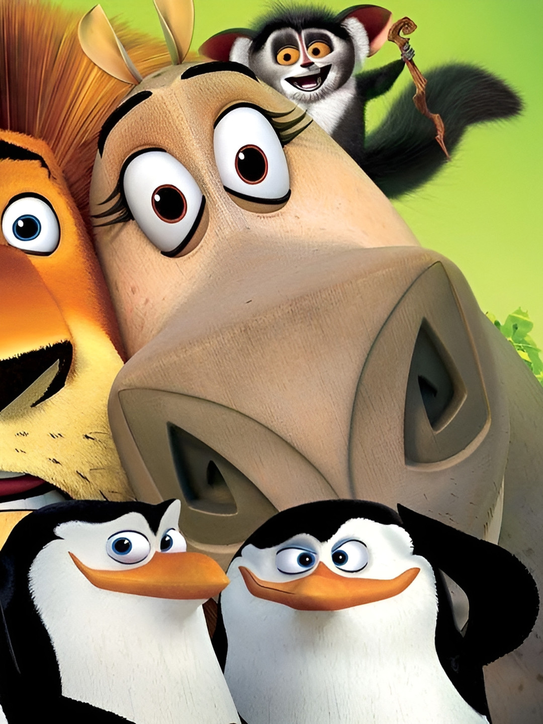 British Terminal Green & Yellow Madagascar Poster Wall Art