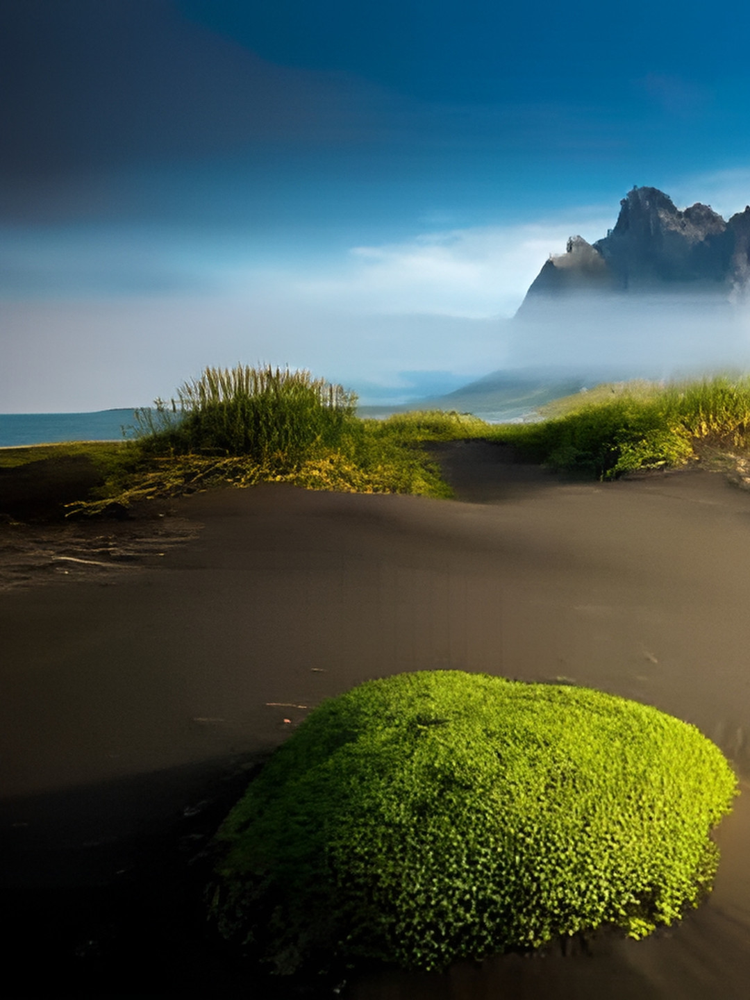 British Terminal Blue & White Other Wall Painting