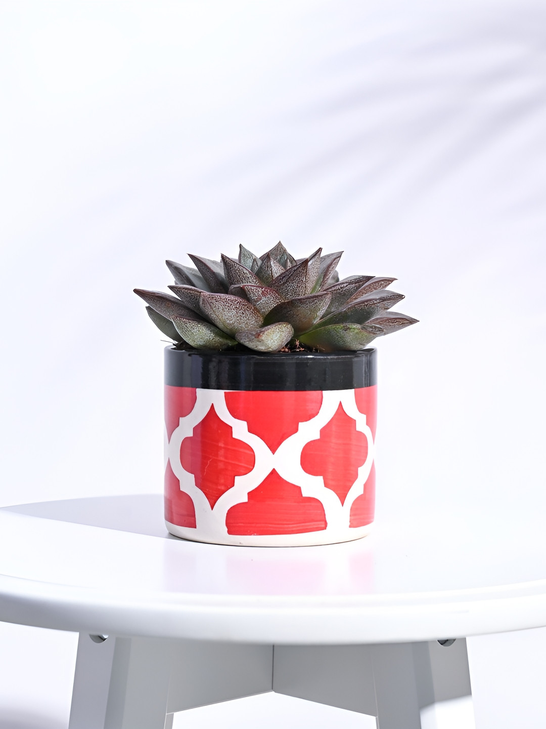 UGAOO Red Printed Ceramic Pot