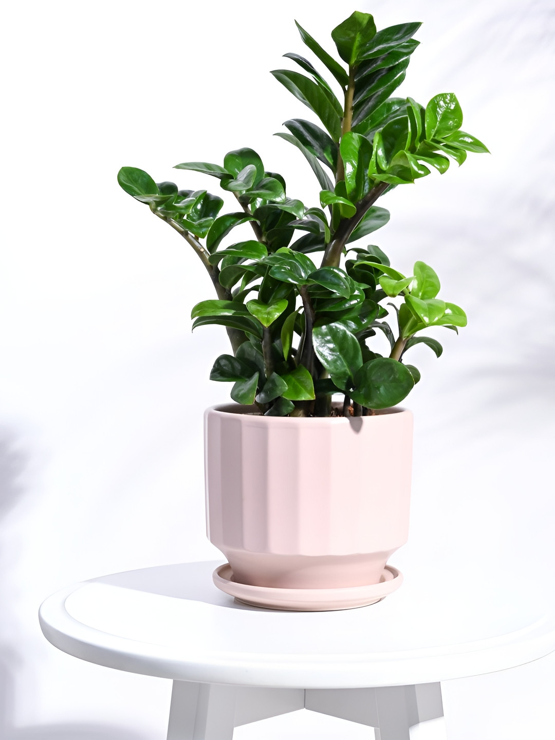 UGAOO Rose-colored Textured Round Ceramic Planter