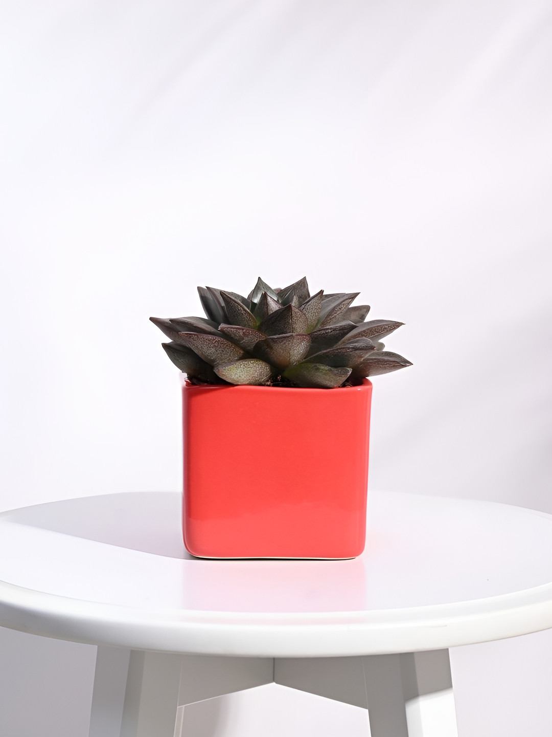 UGAOO Red Square Ceramic Planter