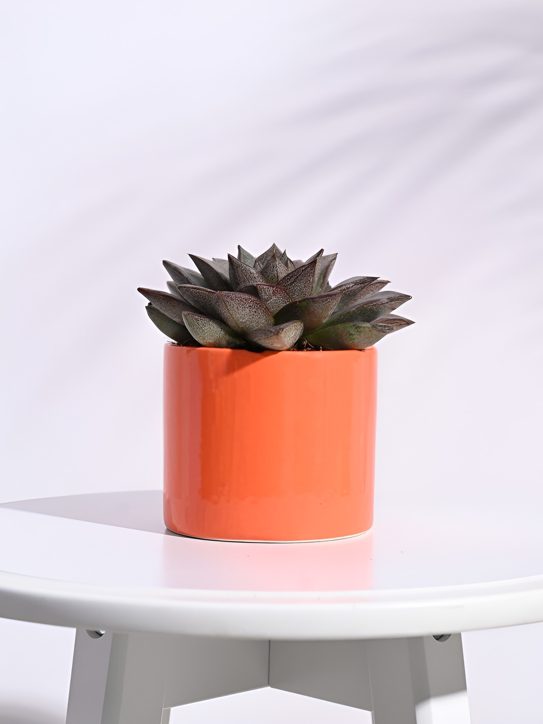UGAOO Pipe Orange-colored Round Ceramic Planter