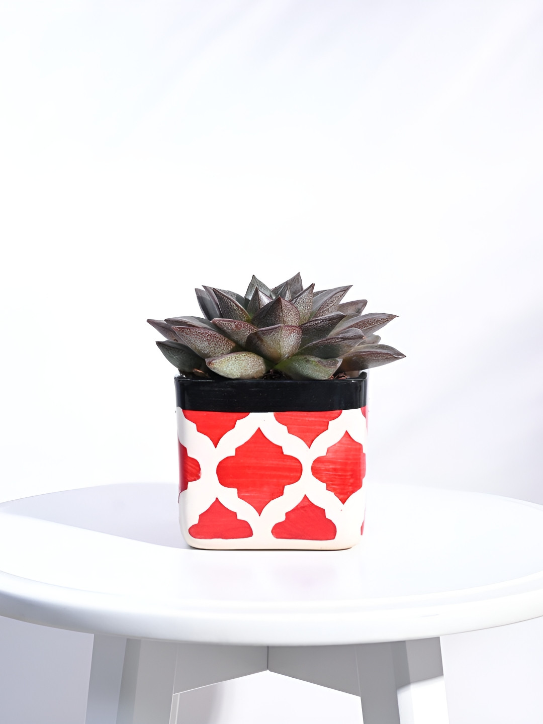 UGAOO Red & White Square Ceramic Planter