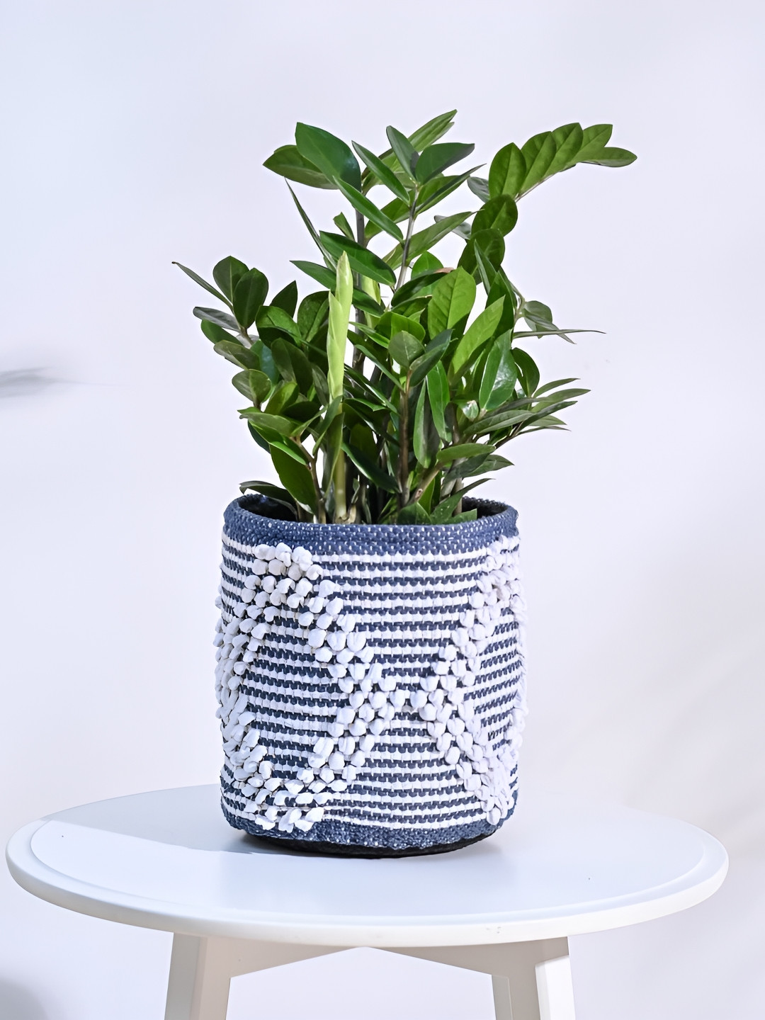 UGAOO Trinket Blue & White Cotton Planter