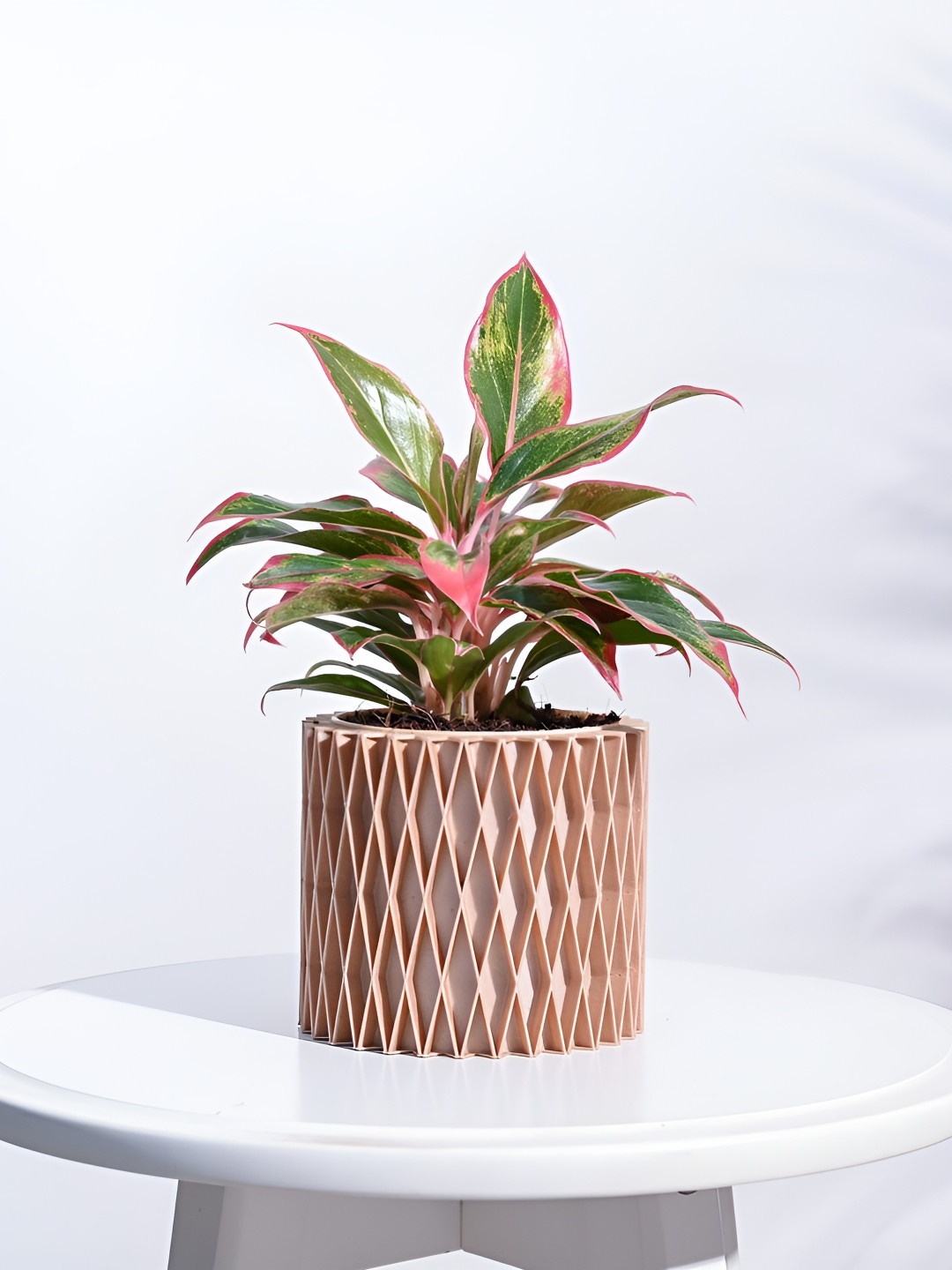 UGAOO Interlace Charm Brown Wooden Planter
