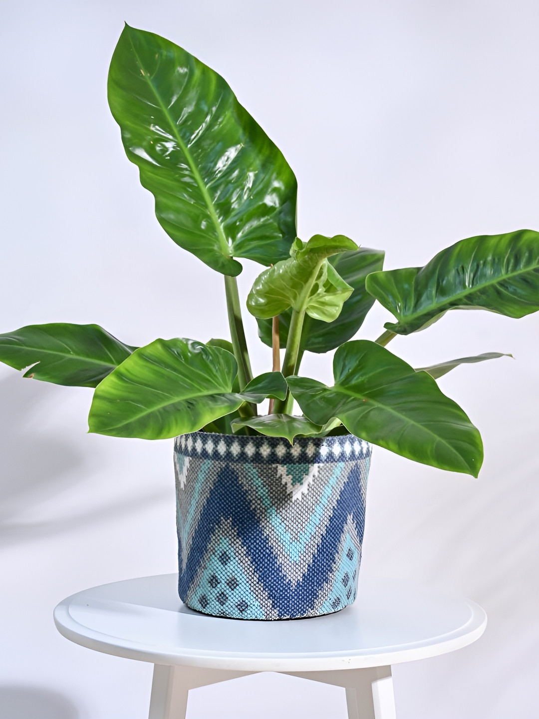 UGAOO Skyie Blue & White Cotton Planter