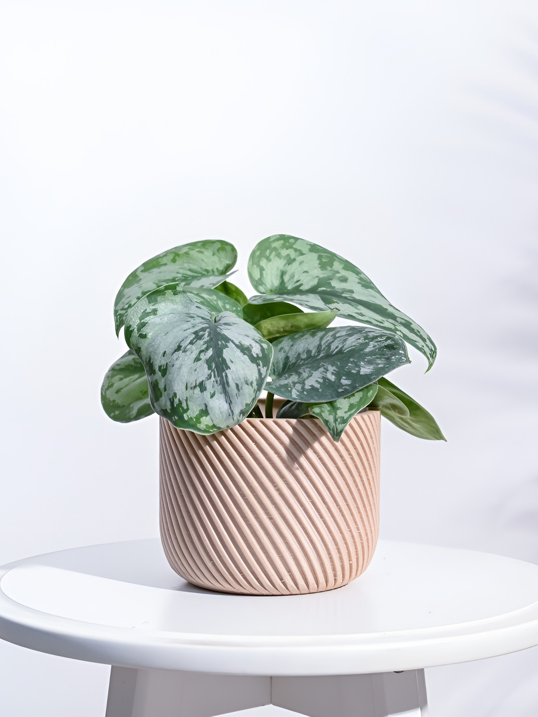 UGAOO Oblique Elegance Brown Textured Wooden Planter