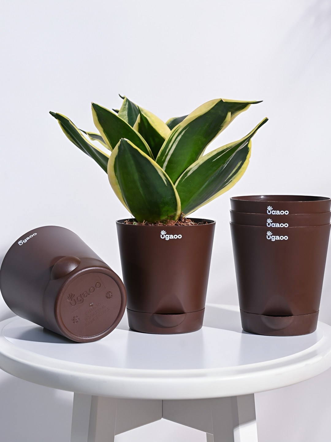 UGAOO Krish Brown 5-pcs Self-Watering Planters
