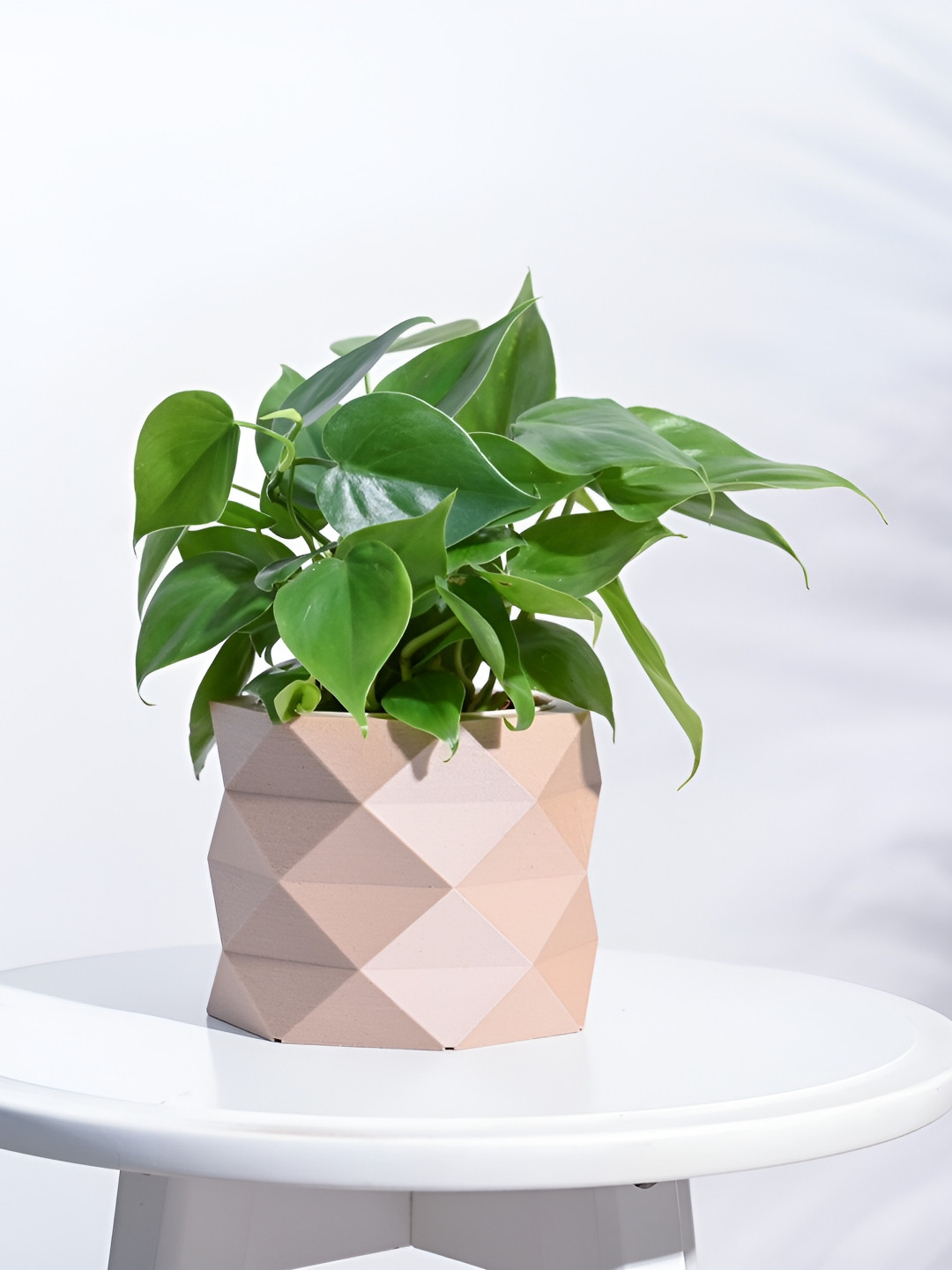 UGAOO Faceted Brown Wooden Planter