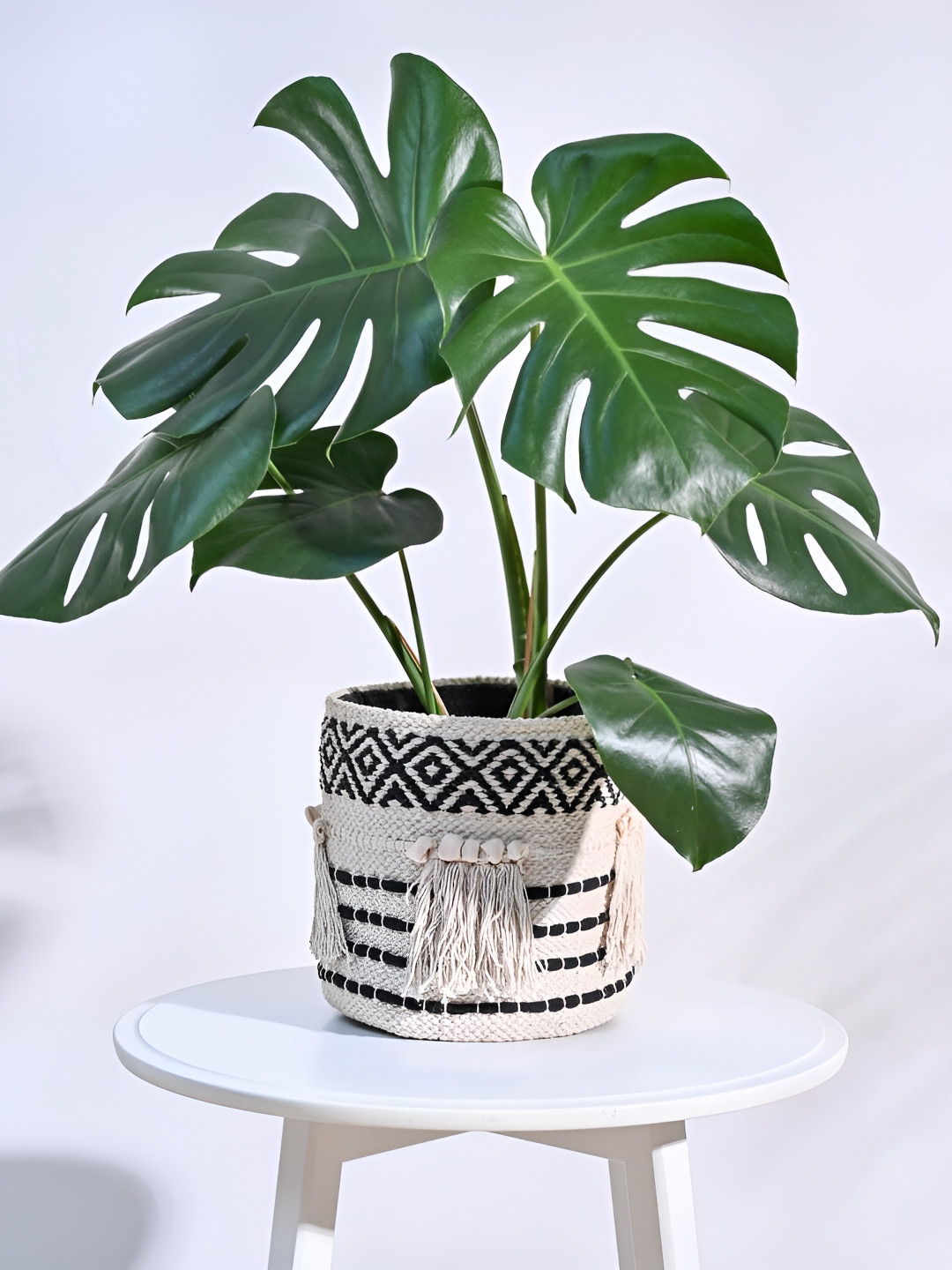 UGAOO Beige & Black Self Designed Cotton Planter