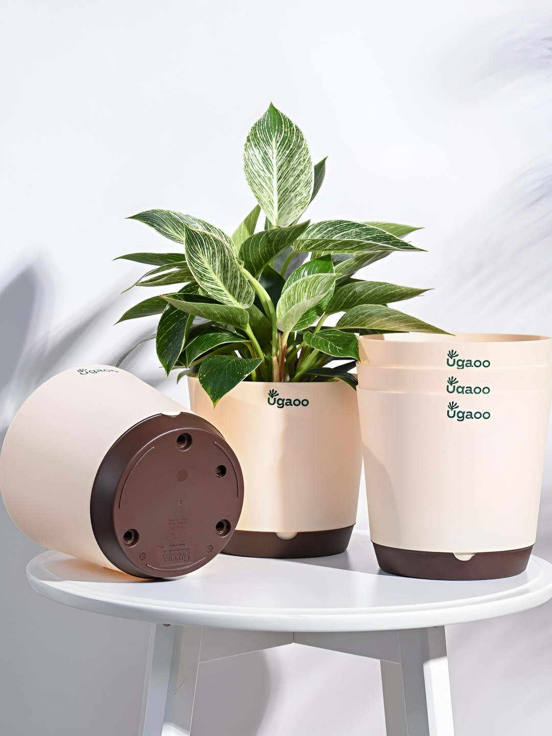 UGAOO Cream Coloured & Brown 5 Pieces Self Watering Planters