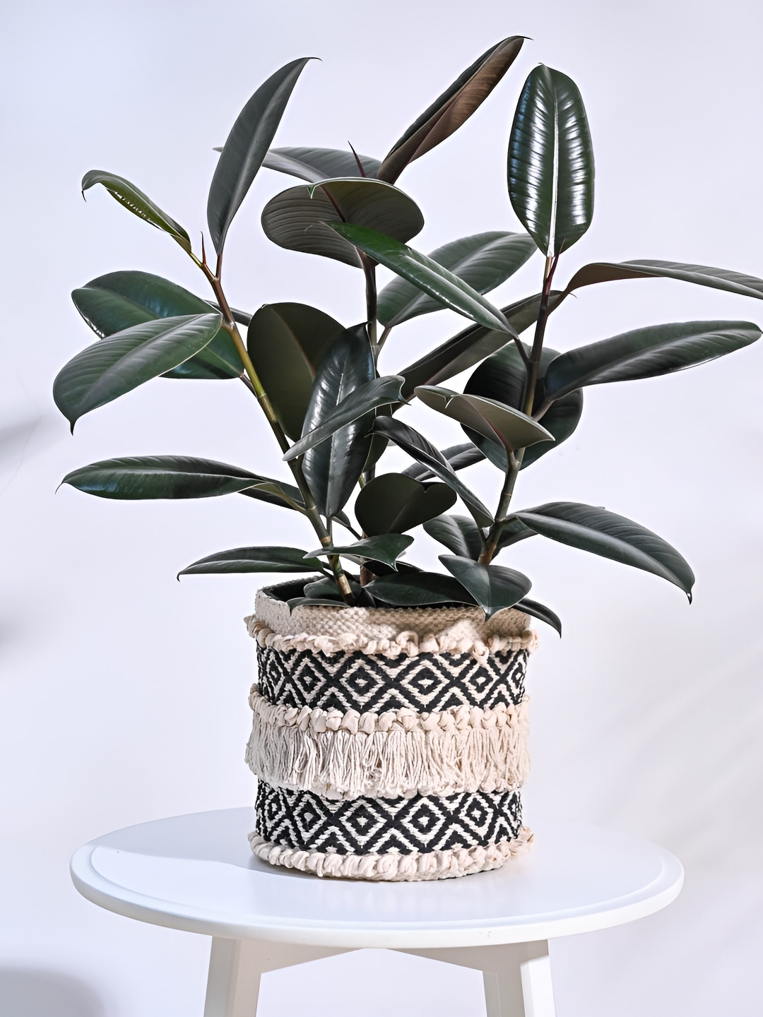 UGAOO Beige & Black Self Designed Cotton Planter