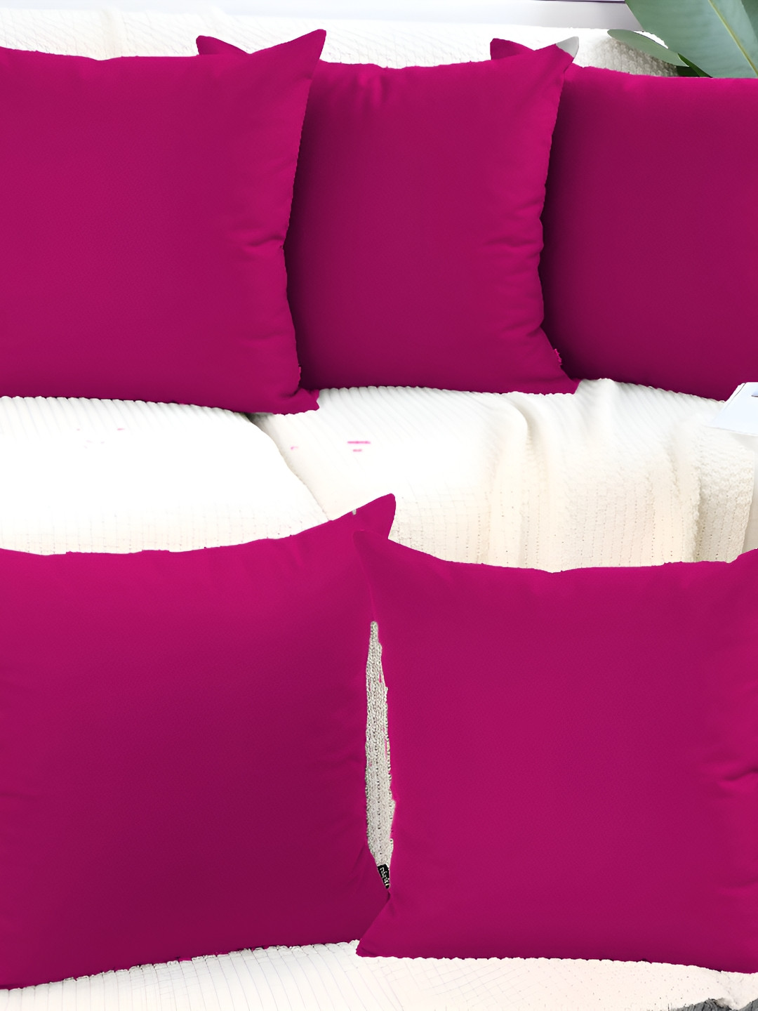 DADDY COOL Rose 5 Pieces Velvet Filled Cushions With Cover