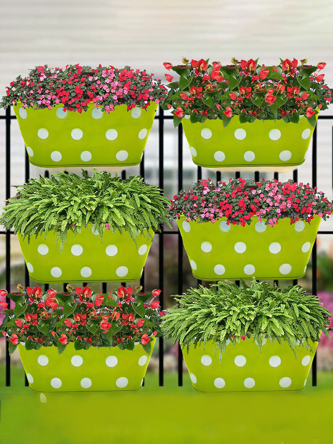 Garden Deco 6 Pieces Green & White Polka Dots Printed Double Hook Metal Planters