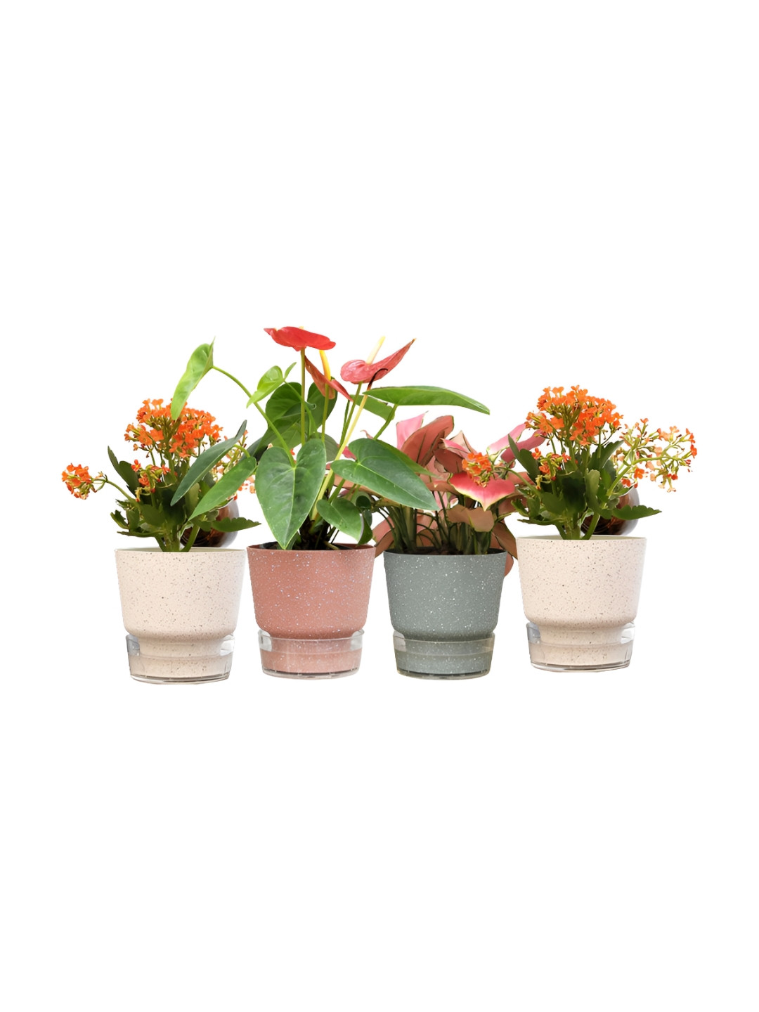 Nostrae by Ekhasa 4Pcs Blue & Cream Coloured 4 Pieces Self Watering Planters