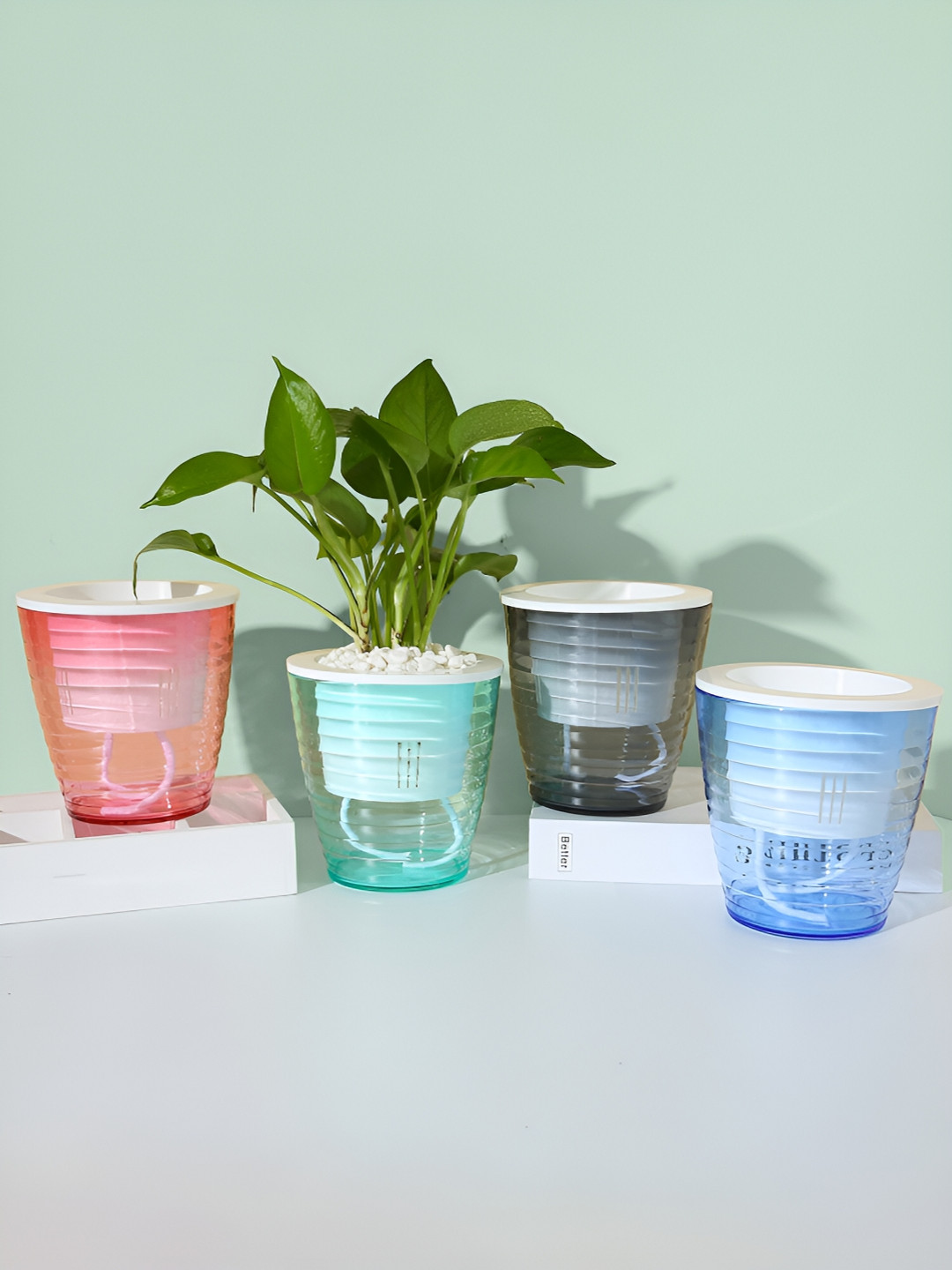 Nostrae by Ekhasa 4Pcs Red & Blue 4 Pieces Self Watering Planters