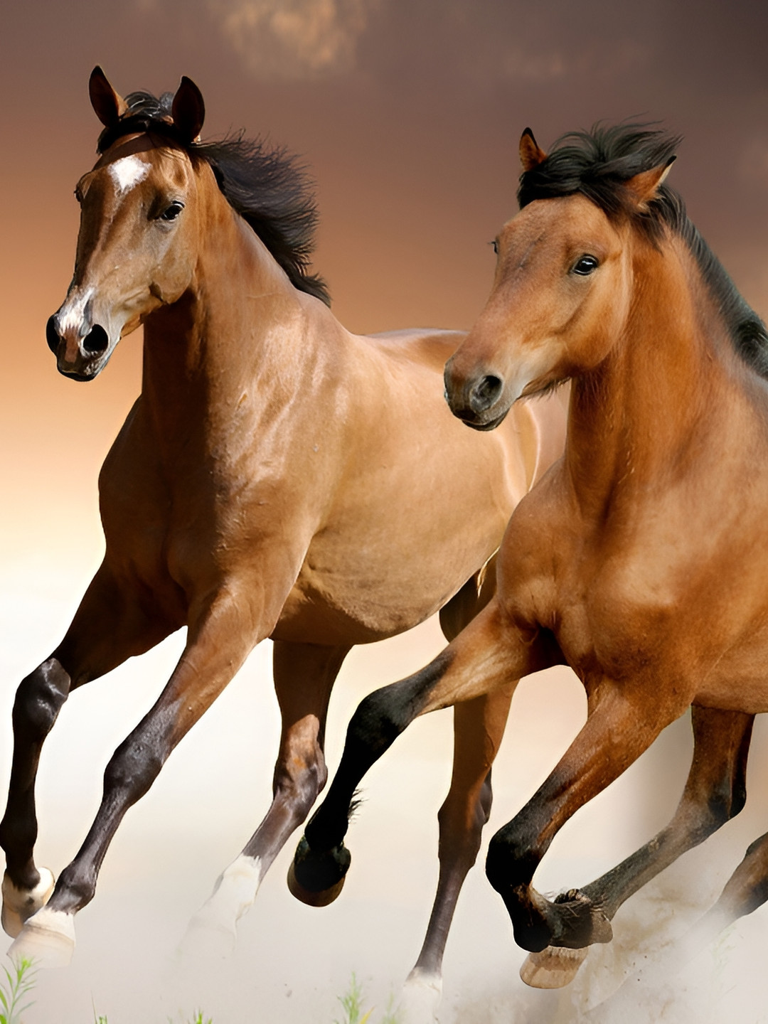 Wallpics Brown Animal Printed Wallpaper