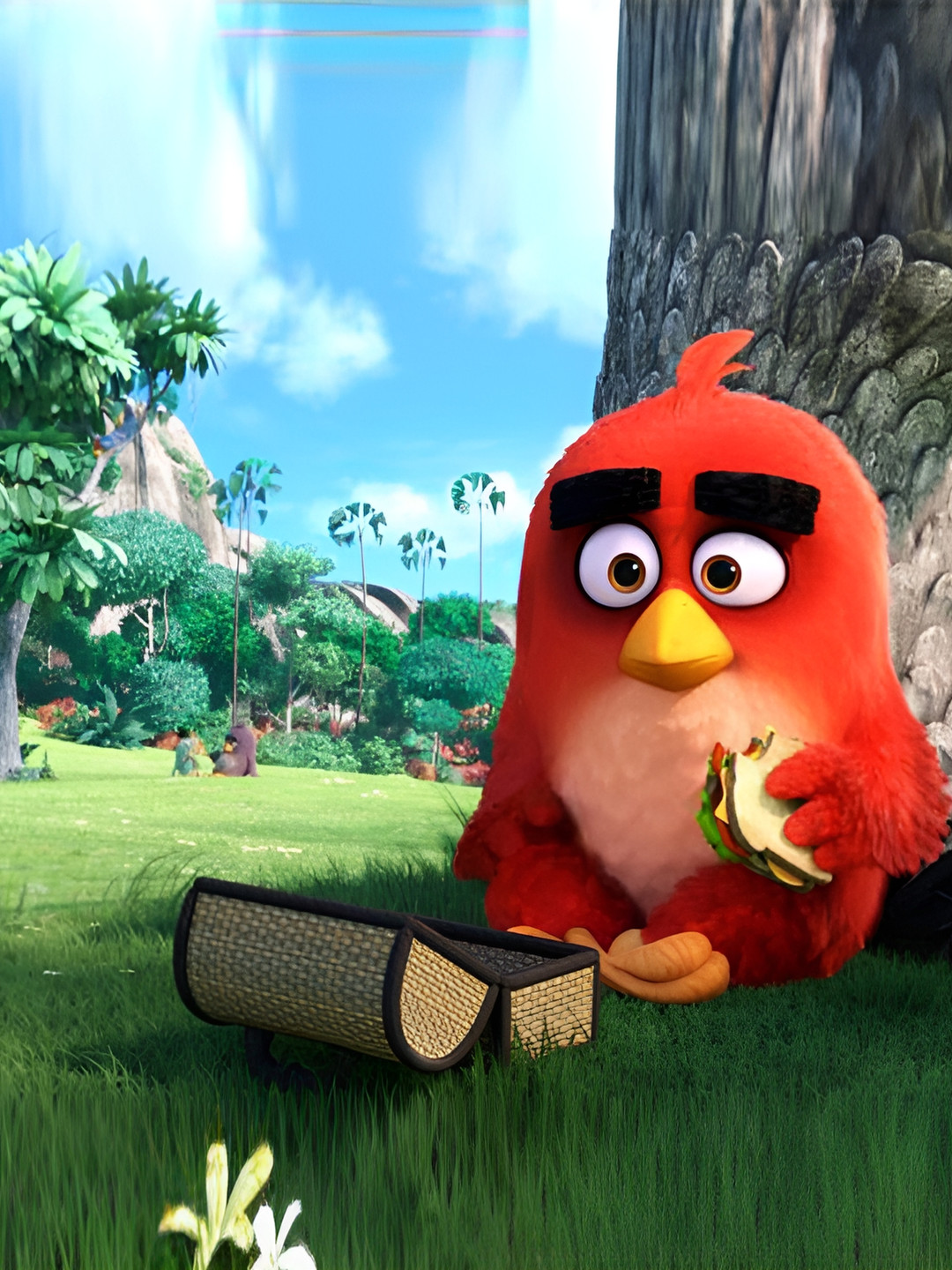 Wallpics Green & Red Angry Bird Printed Self-Adhesive Wallpaper