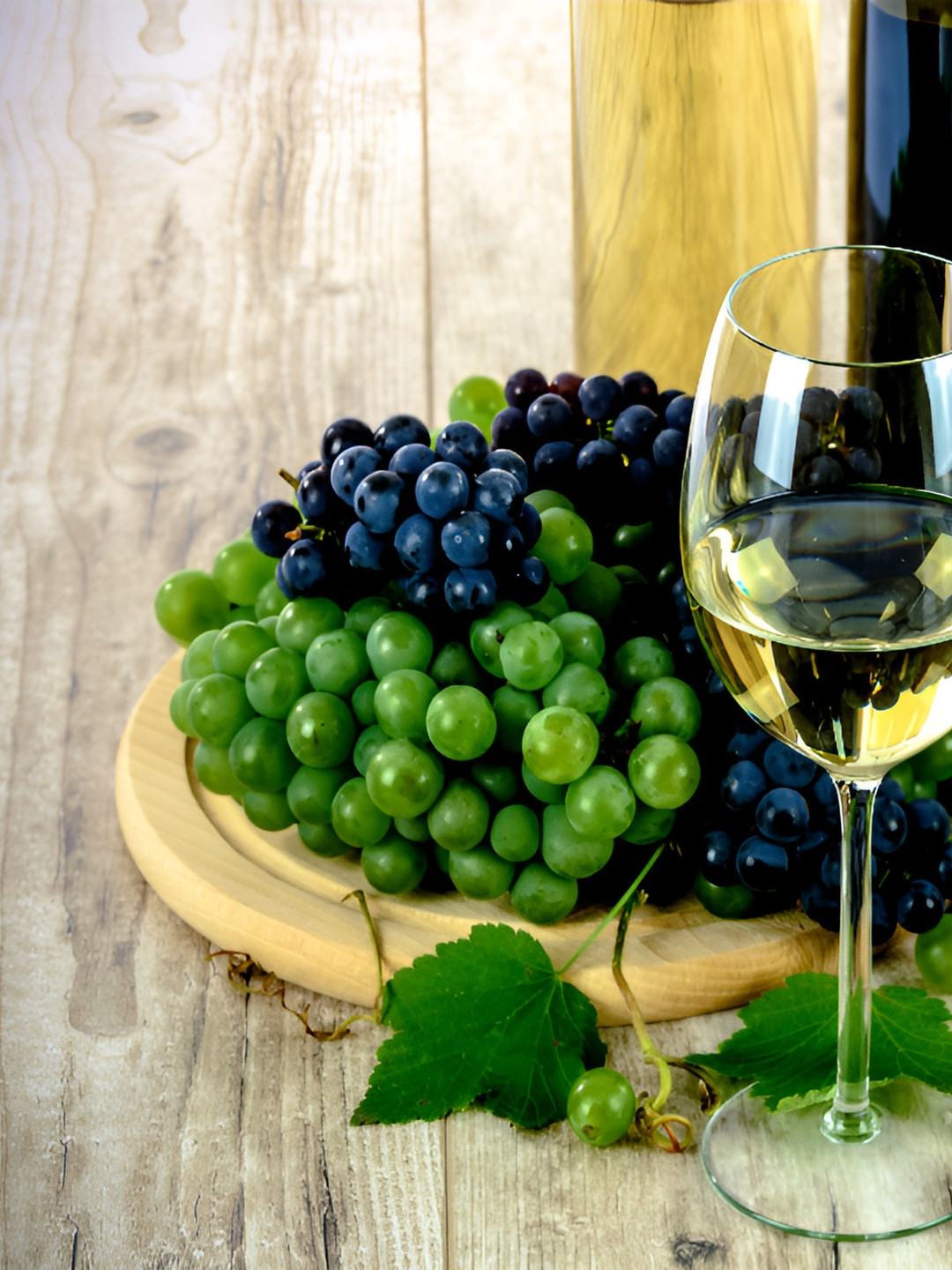 Adventures India Wood Wall Rectangle Photographs Wall Art - 18 x 14 In