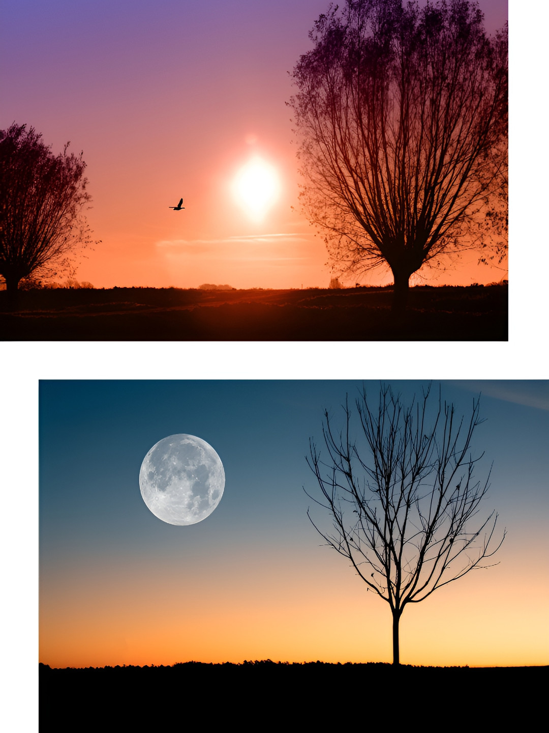 AdventuresIndia Wood Wall Rectangle Paintings Wall Art -17.99 x 13.97In