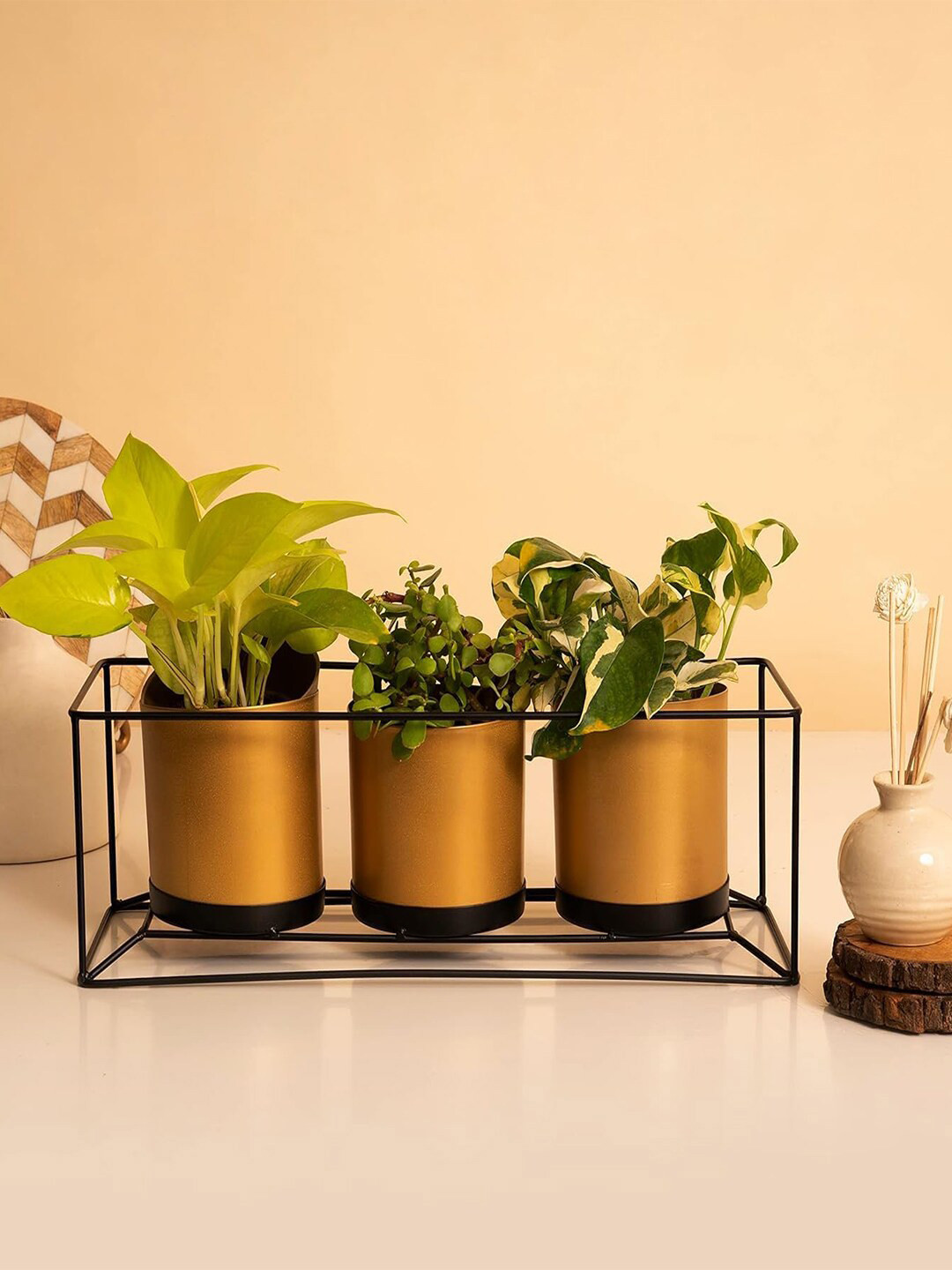 Kuber Industries Gold Toned 3 Pcs Planter with Golden Stand