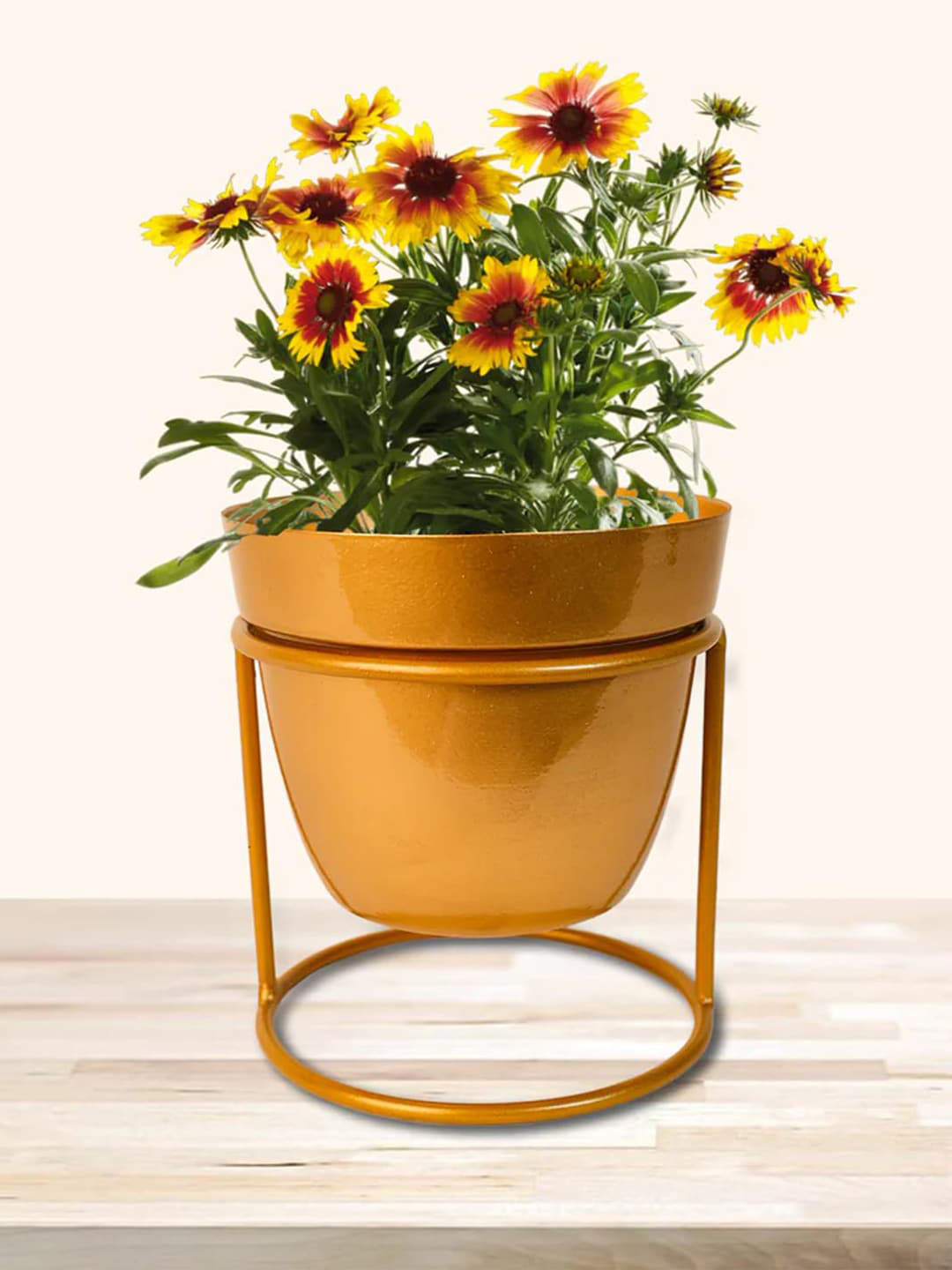 Kuber Industries Gold  Toned Metal Planter With Stand Set
