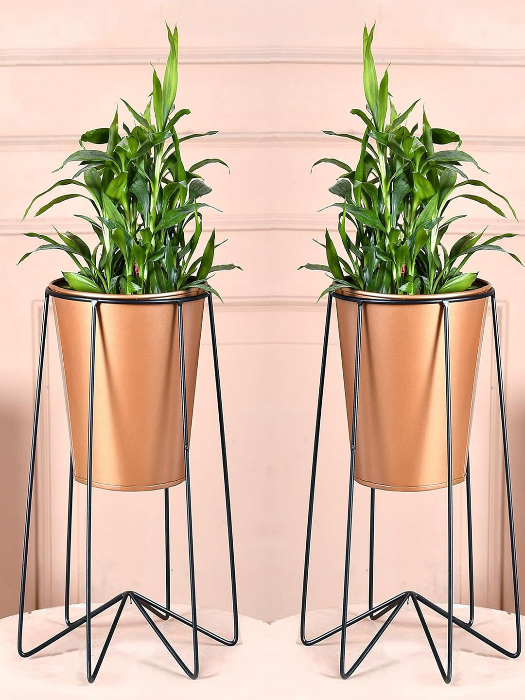 Kuber Industries 2 Pcs Planter Stand With Bucket Planter