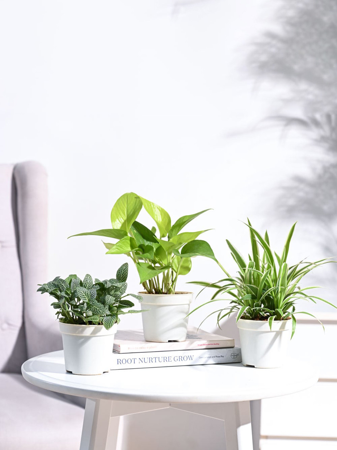 UGAOO 3 Pieces Indoor Plant With Pot