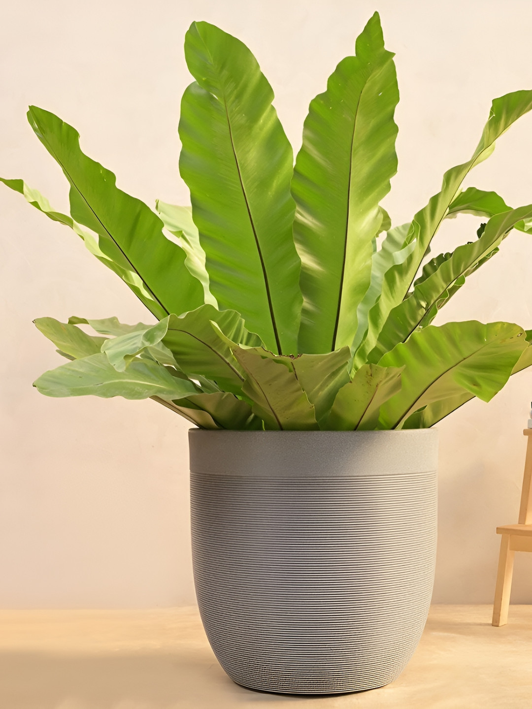 UGAOO Grey Textured Milano Short Stone Large Planter