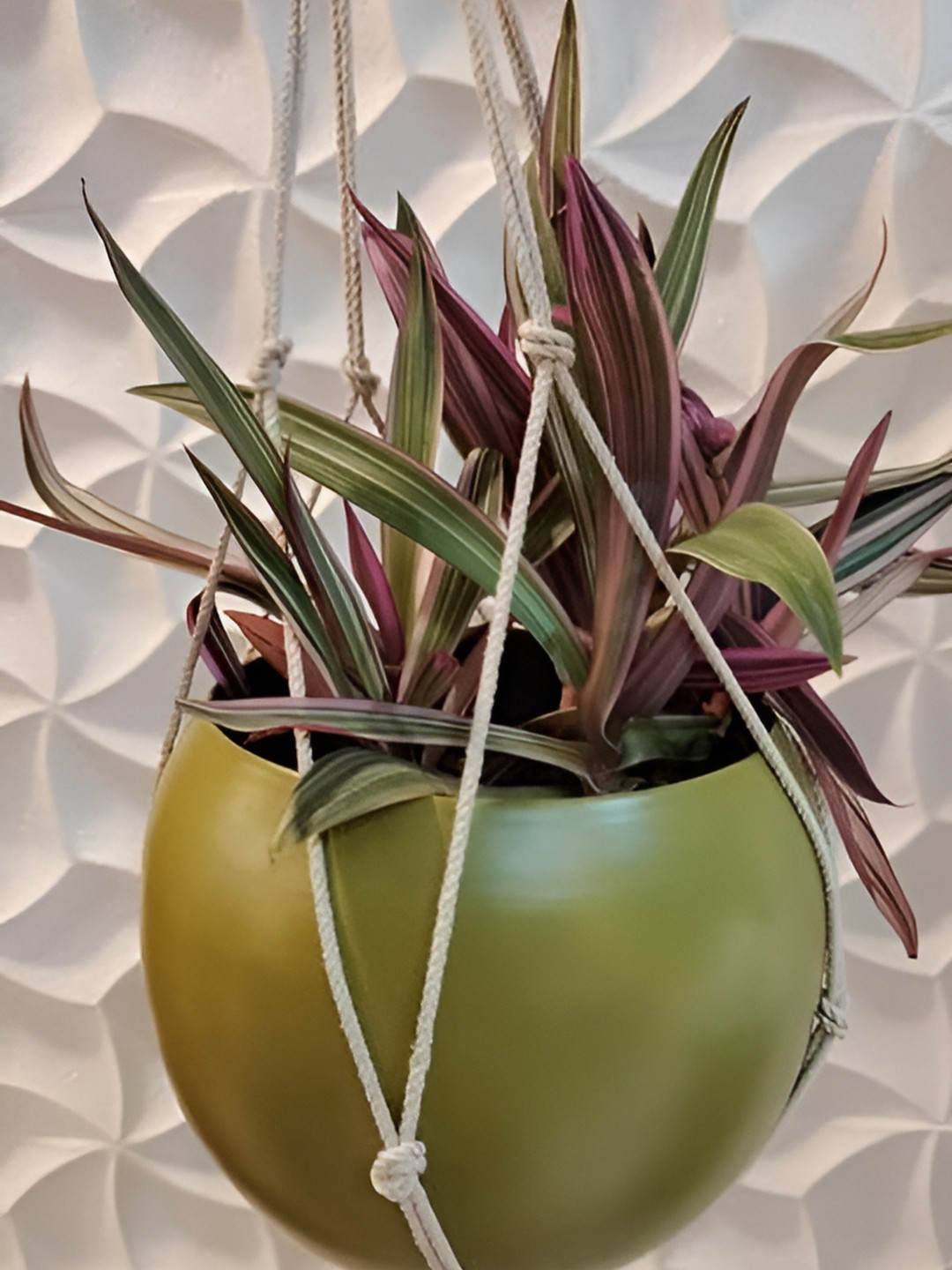 CraftVatika Green Hanging Planter With Metal Holder