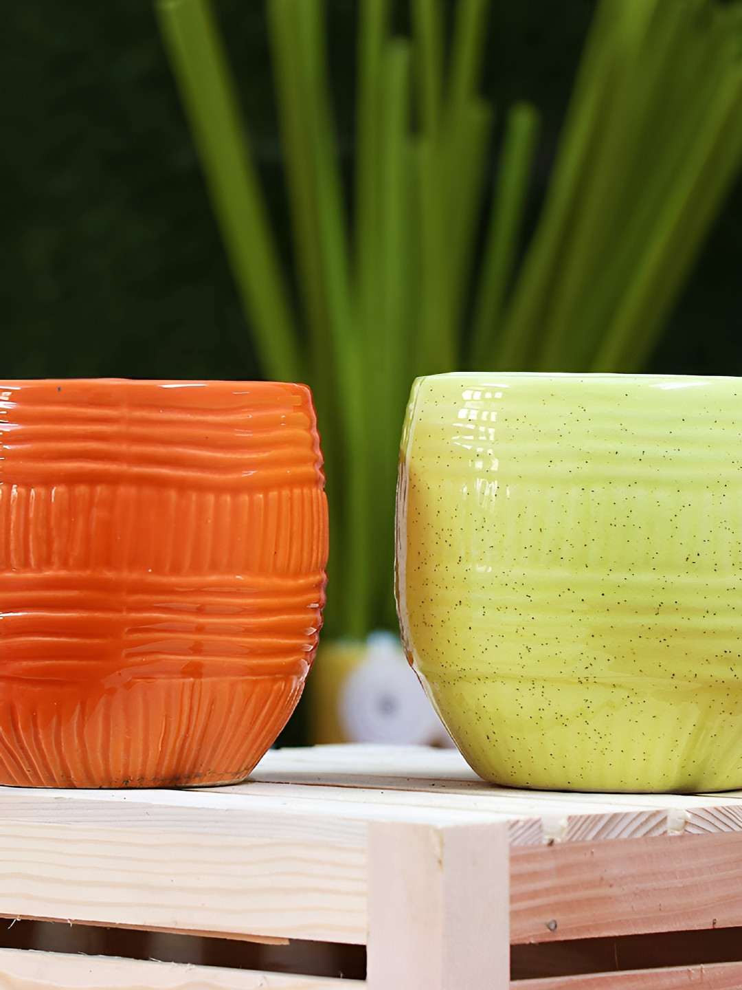 Leafy Tales Red & Yellow 3 Pieces Conical Shape Ceramic Planter