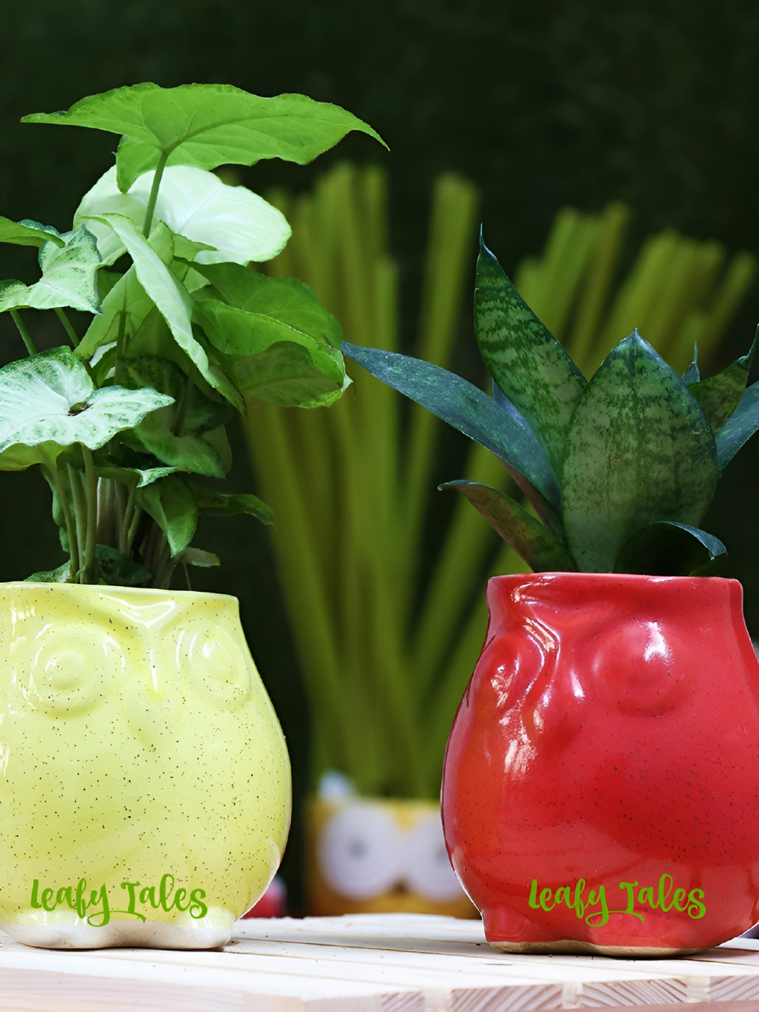 Leafy Tales Yellow & Red 2 Pieces Owl-Shaped Ceramic Planters