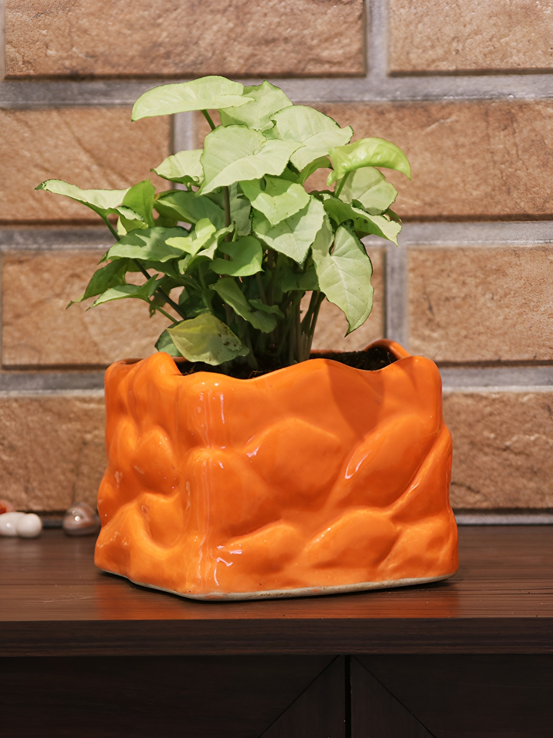 Leafy Tales Orange Mystic Shape Ceramic Planter