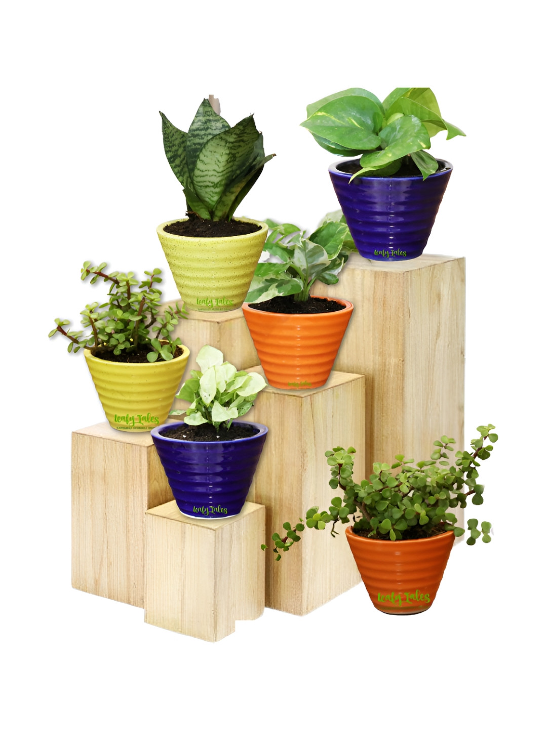 Leafy Tales Green & Blue 6 Pieces Striped Ceramic Planters