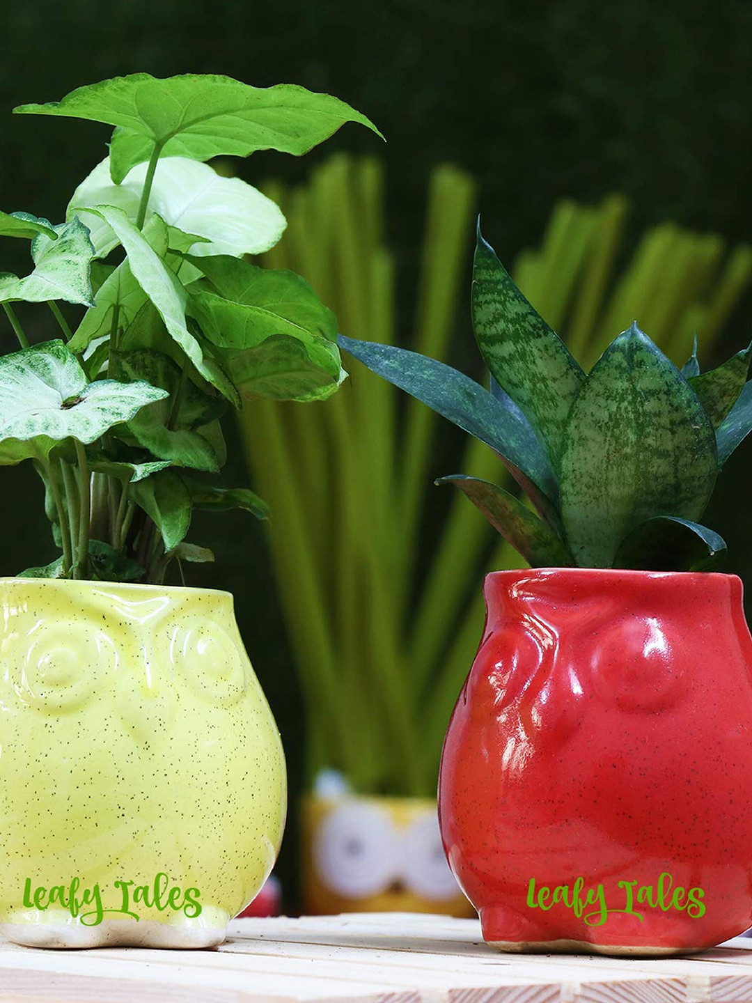 Leafy Tales Red Textured Ceramic Planter