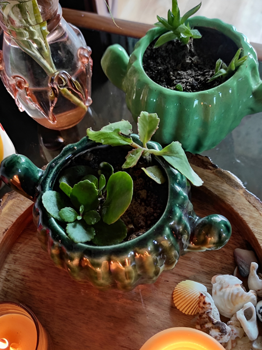 Leafy Tales Green Bird Shape Ceramic Planter