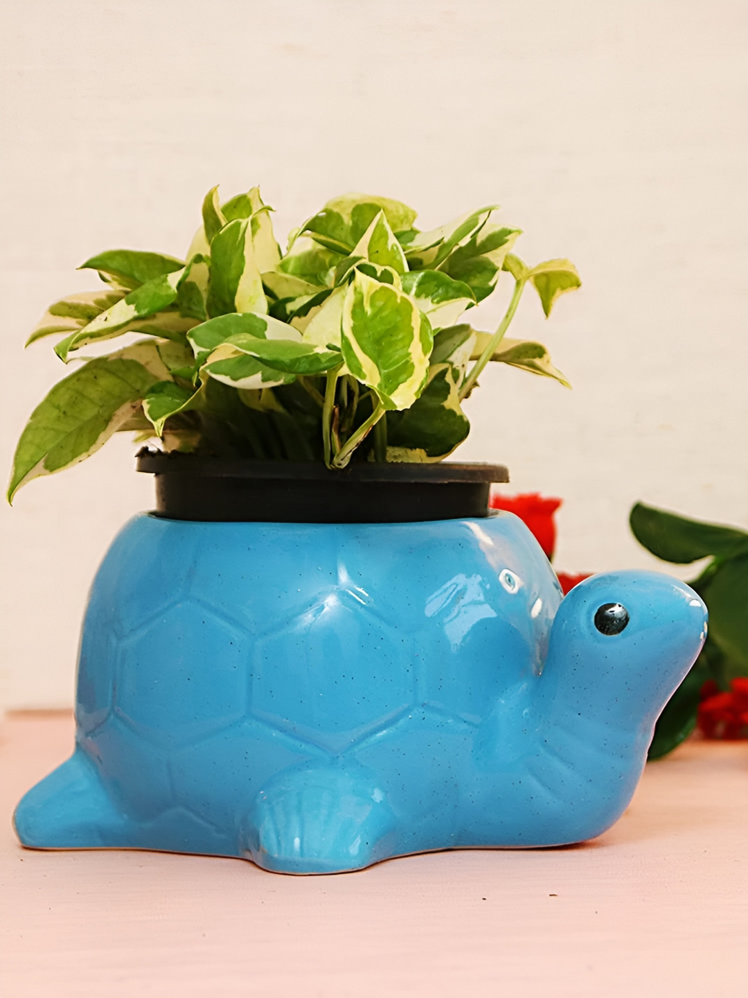 Leafy Tales Blue Tortoise Shaped Ceramic Planter