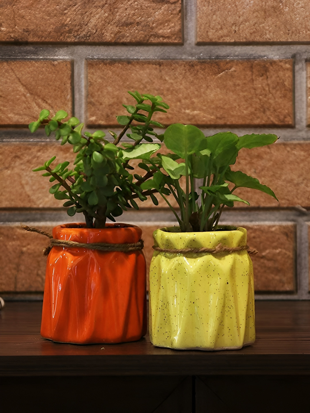 Leafy Tales Red & Yellow 2 Pieces Ceramic Planters