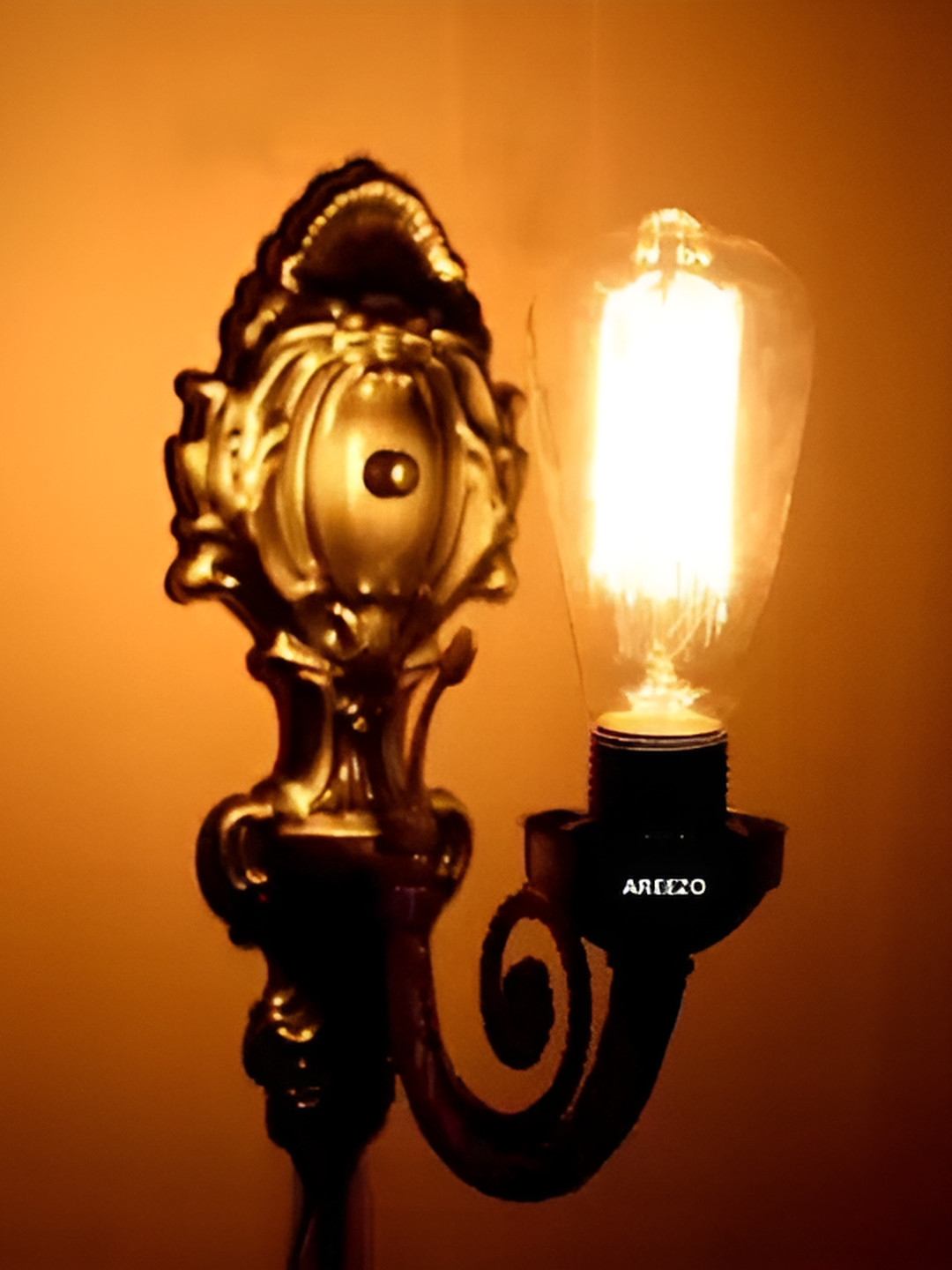 Areezo Brown Contemporary Metal Wall Lamp