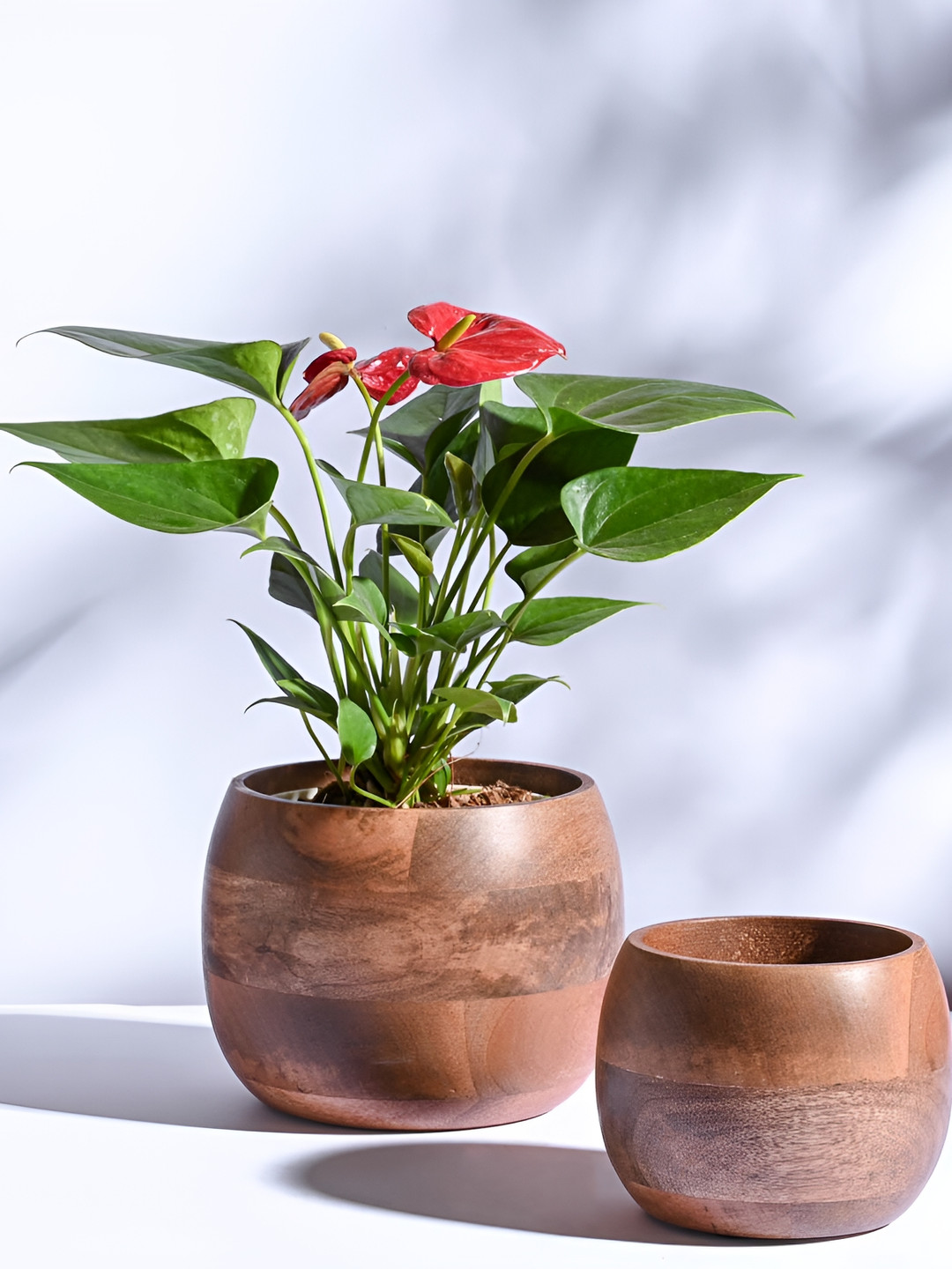 UGAOO Orbit Brown 2 Pieces Orbit Shaped Wooden Planters